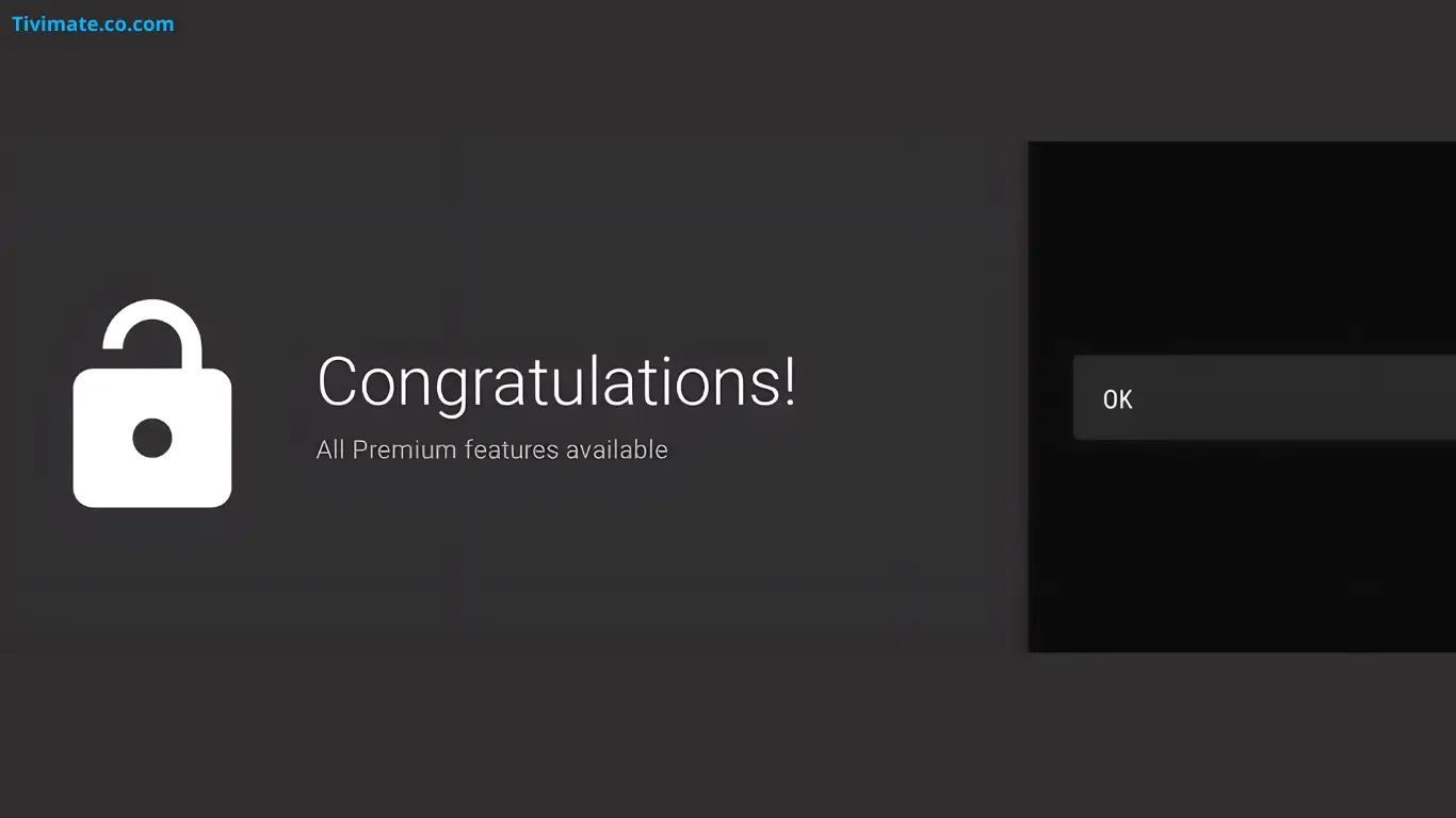 TiviMate Premium unlocked on an Android TV device